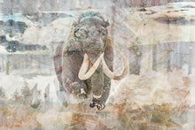 Charger l'image dans la galerie, DUALE — MAMMUTHUS