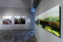 Charger l'image dans la galerie, LA PLUIE IMPLAUSIBLE