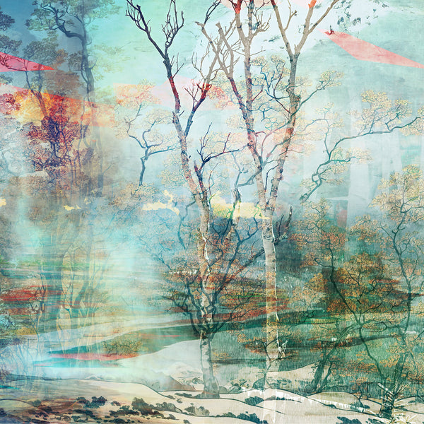 Duale — Betula