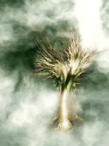 MYST REPUBLIC