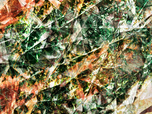 FORÊT