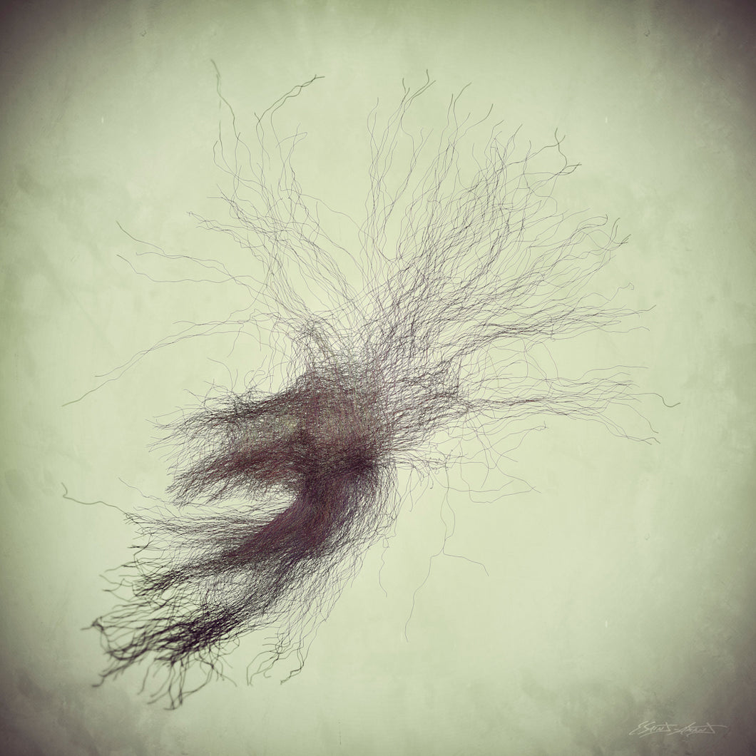 CONNECTIVITÉ X