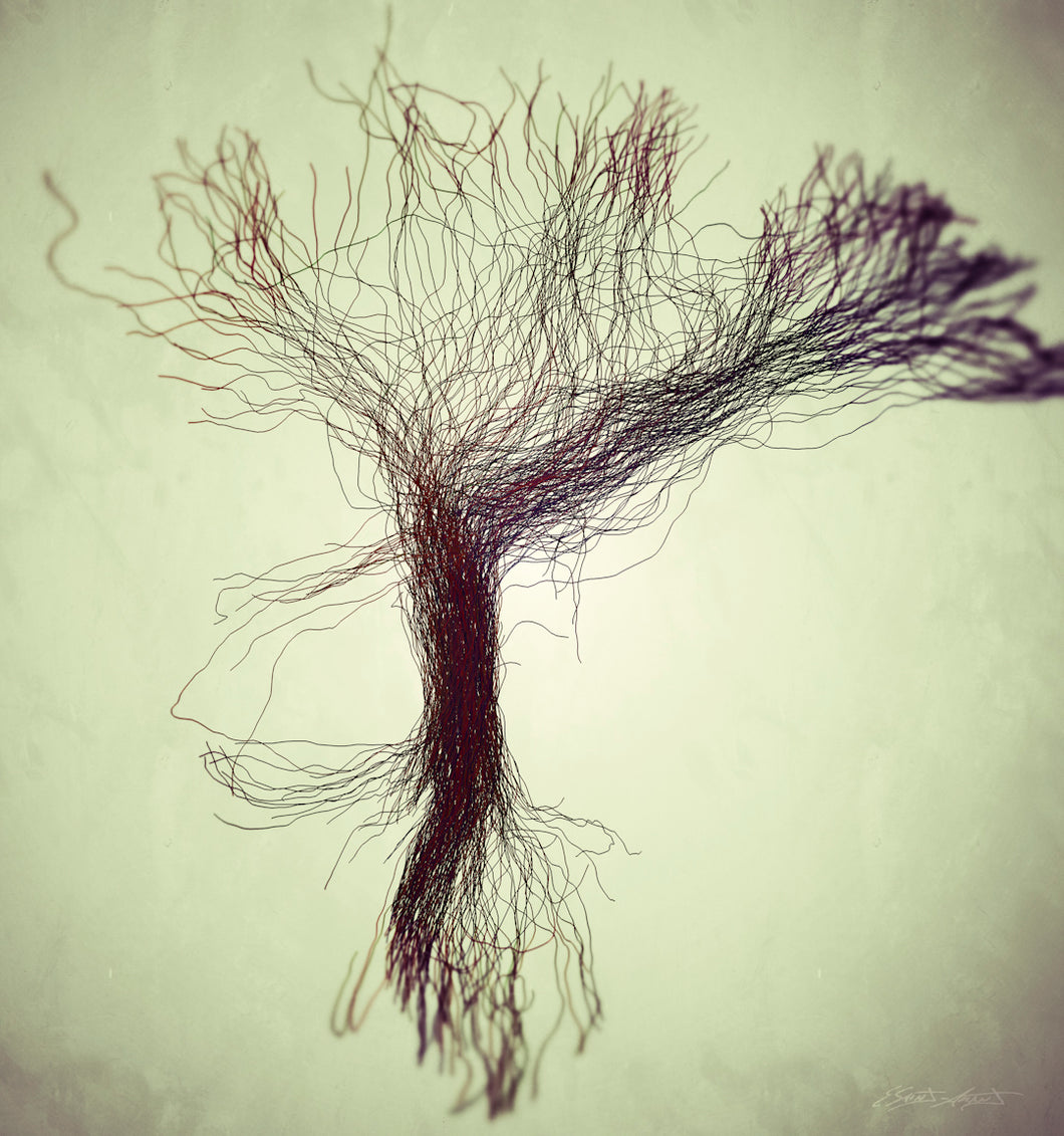 CONNECTIVITÉ II