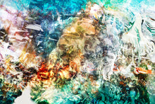Charger l&#39;image dans la galerie, DUALE — PORIFERA

