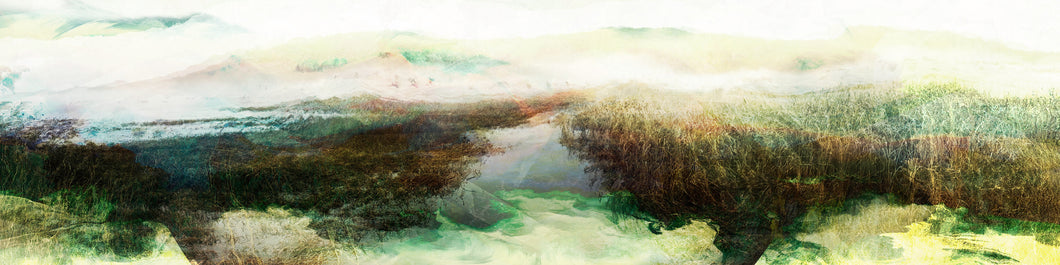 LE MARAIS RÉSILIENT