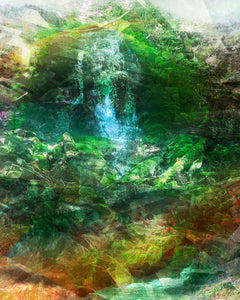 DUALE — BRYOPHYTA