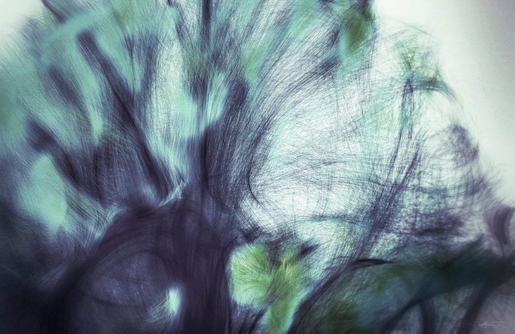 CONNECTIVITÉ III