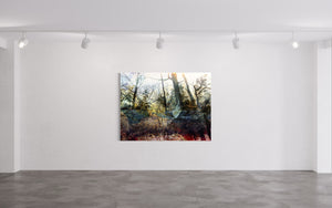 LA FORÊT PENSIVE