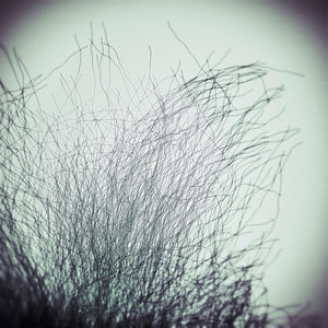 CONNECTIVITÉ VII