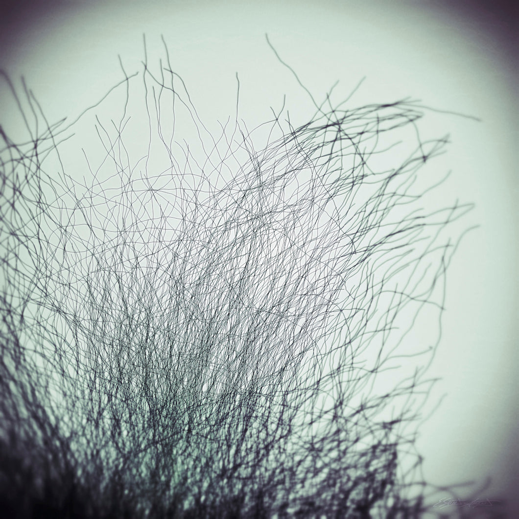 CONNECTIVITÉ VII