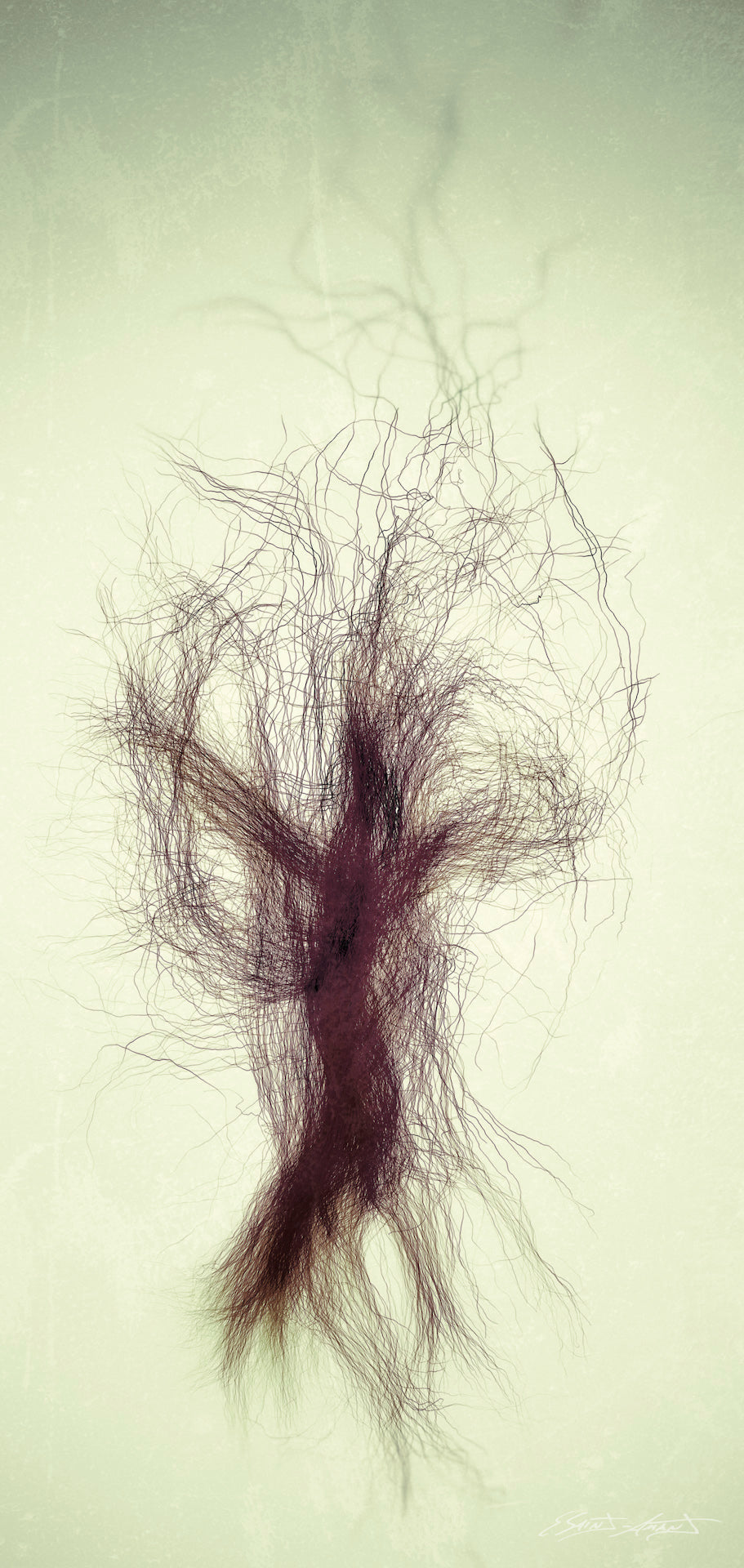 CONNECTIVITÉ VIII