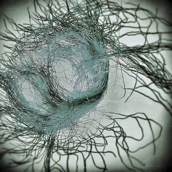 CONNECTIVITÉ XIV