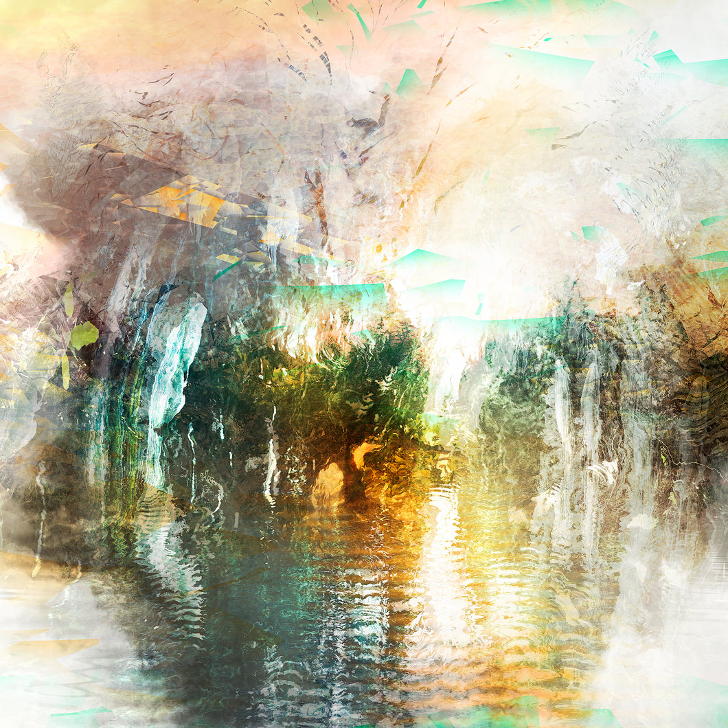 DUALE — SALIX