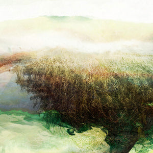 LE MARAIS RÉSILIENT
