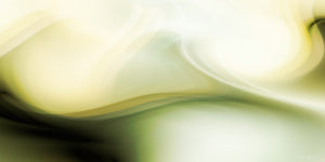 N-ACÉTYLSÉROTONINE