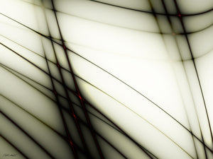 THE WIRED
